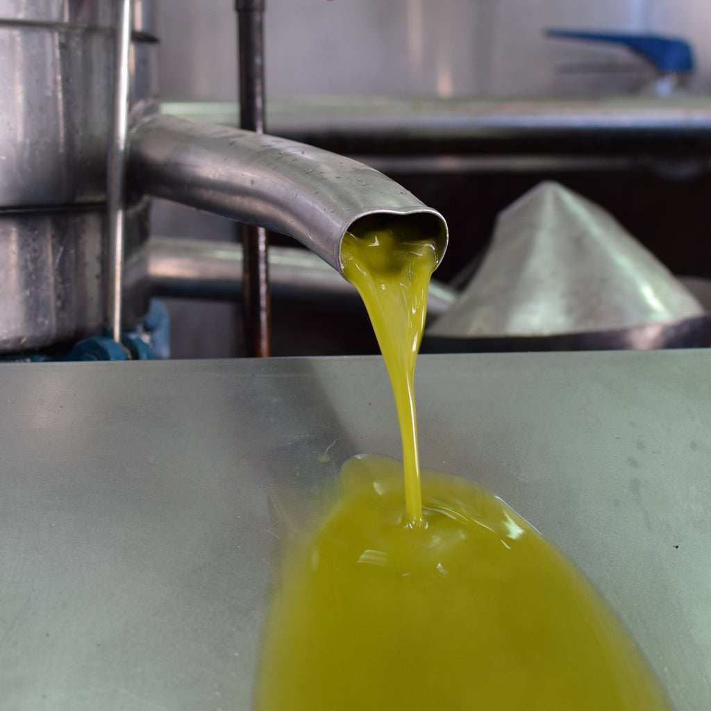 RESERVA Aceite de Oliva Virgen Extra Los Raigones NUEVA COSECHA SIN FILTRAR 2026/27  – Caja 3 garrafas 5 L