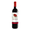 Botella de Yllera 9 Meses, vino tinto de Castilla y León